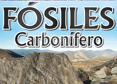 Exposición / Fósiles Carbonífero