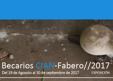 CIAN-m Fabero 2017 