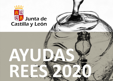 Ayudas REES 2020 (Eficiencia energética y Sostenibilidad) / JUNTA DE CASTILLA Y LEÓN